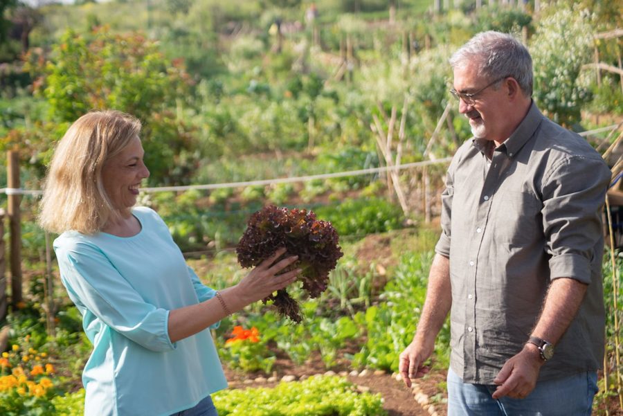 Gartenhilfe: gemeinsame Freude über die Ernte im Garten
