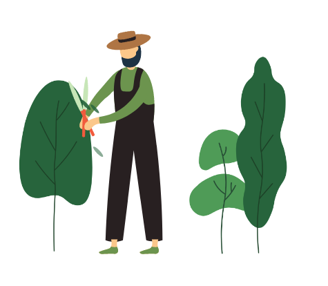 Hansehelden Garten Illustration
